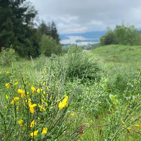 Urlaub Für Mensch Und Tier - Pirkhof