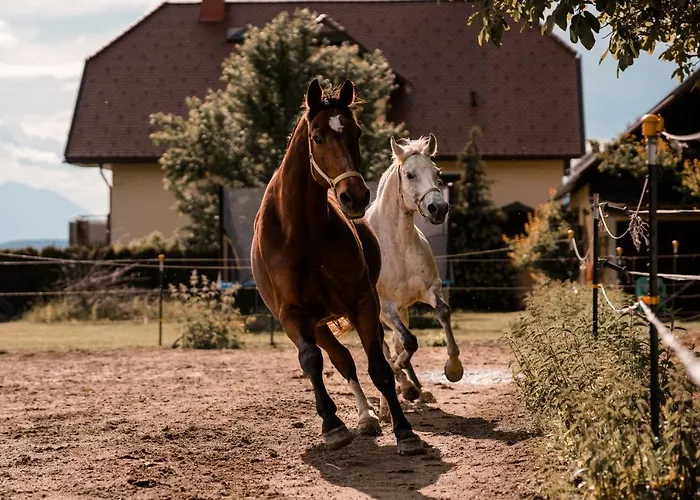 Urlaub Für Mensch Und Tier - Pirkhof