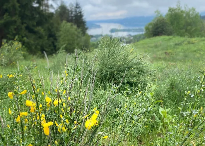 Urlaub Für Mensch Und Tier - Pirkhof
